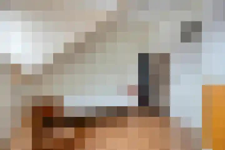 Noordstraat 27 Domburg thumbnail 20