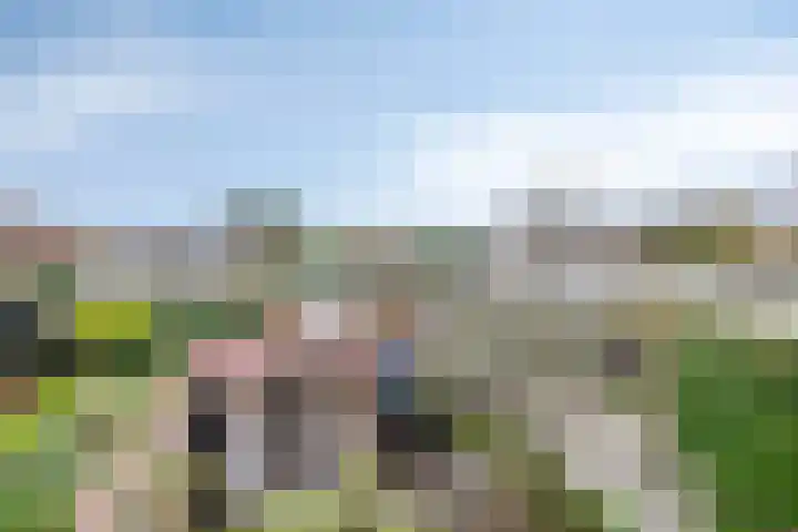 Noordstraat 27 Domburg thumbnail 26