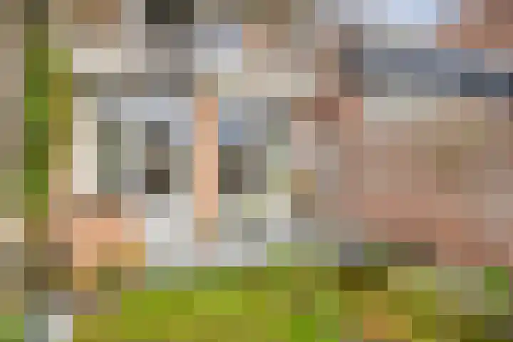 Noordstraat 27 Domburg thumbnail 28