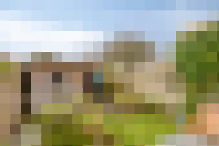 Noordstraat 27 Domburg thumbnail 4