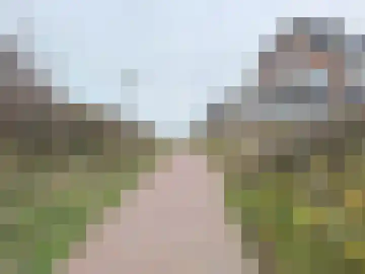 Noordstraat 27 Domburg thumbnail 8