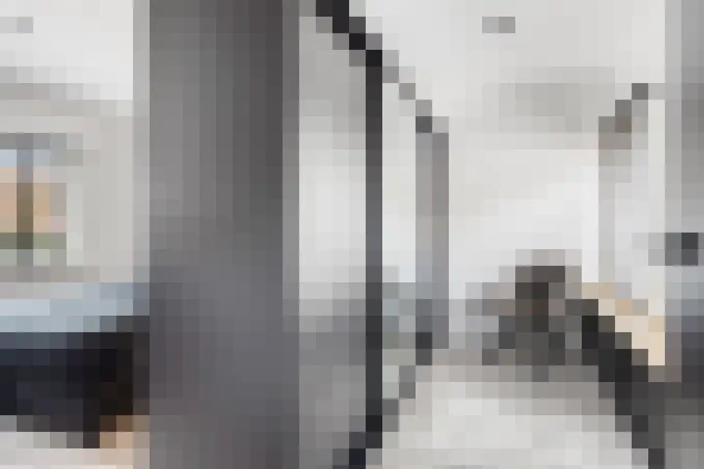 Noordstraat 3 Sas van Gent thumbnail 20