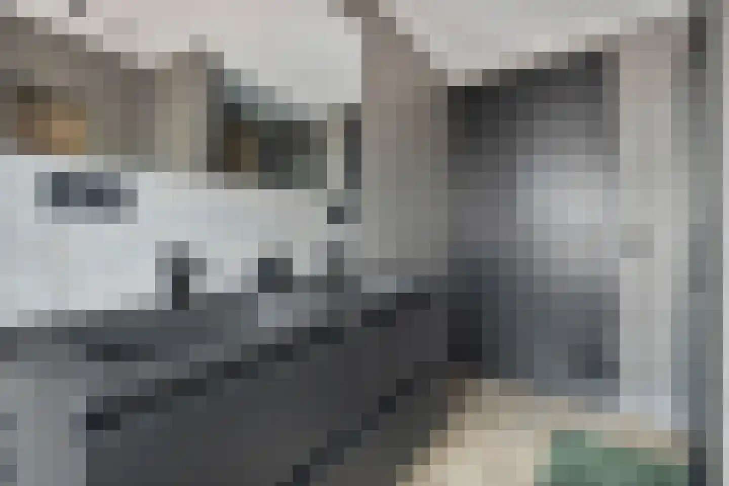 Noordstraat 3 Sas van Gent thumbnail 23