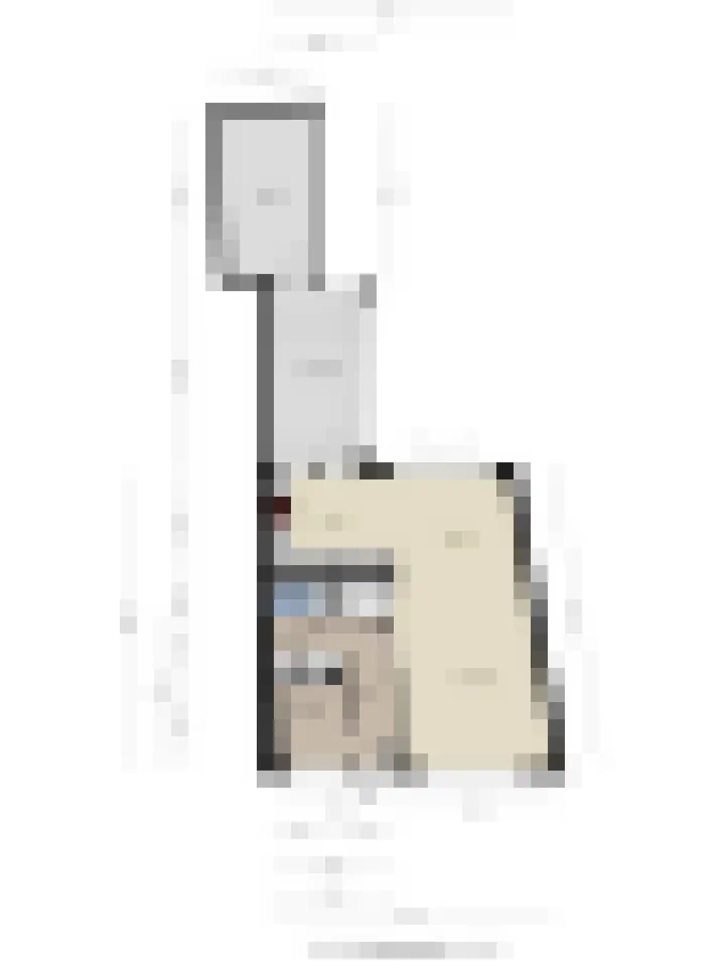 Noordstraat 3 Sas van Gent thumbnail 33