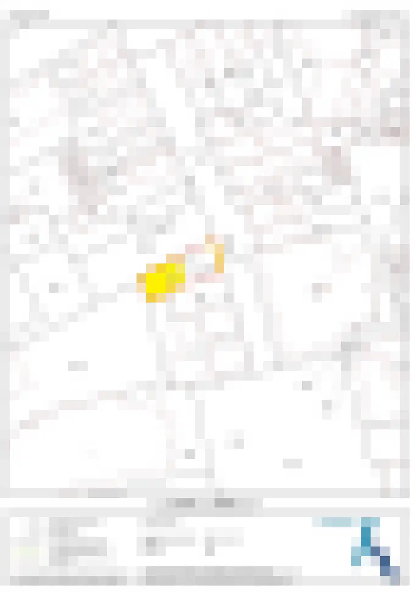 Noordstraat 3 Sas van Gent thumbnail 36