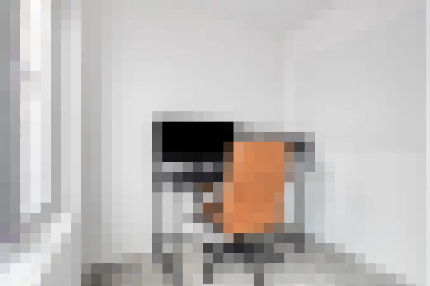 Noordstraat 3 Sas van Gent thumbnail 4
