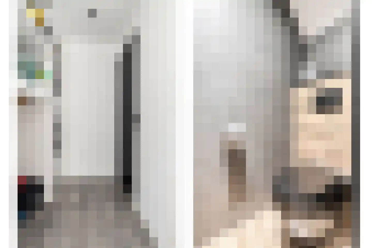 Noordstraat 3 Sas van Gent thumbnail 5