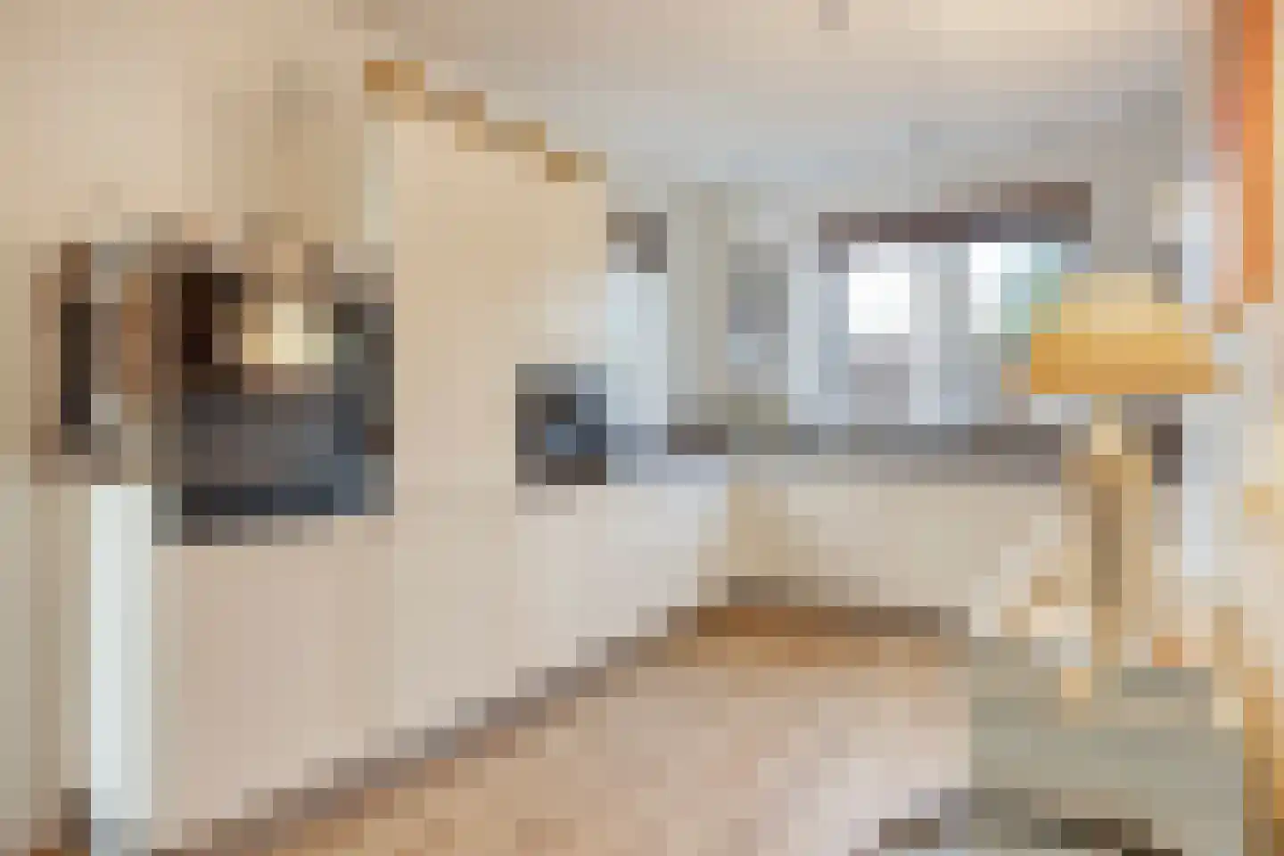 Noordstraat 30 Retranchement thumbnail 10