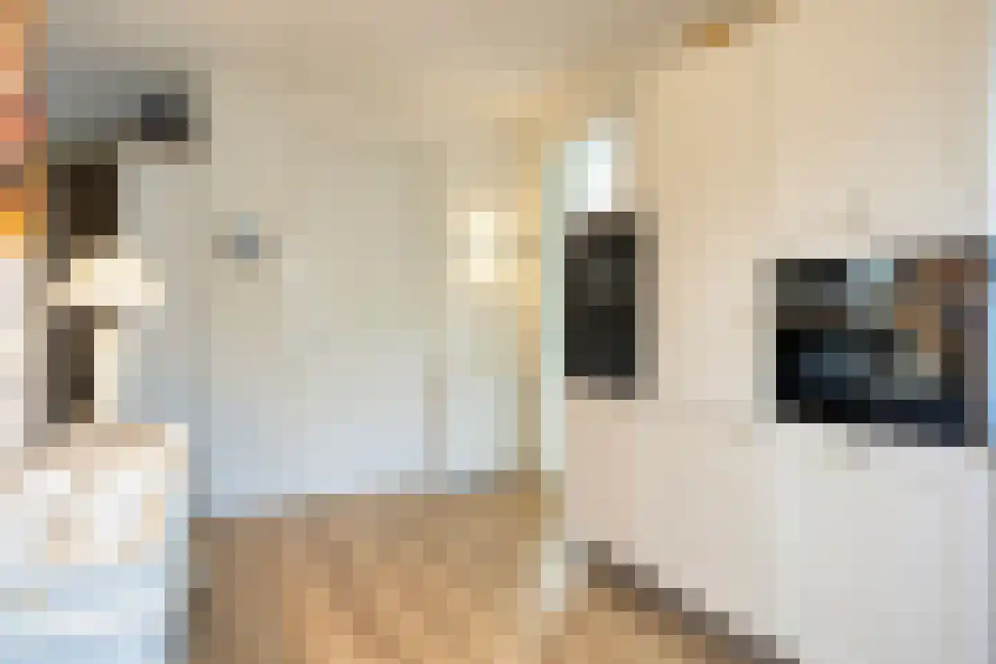 Noordstraat 30 Retranchement thumbnail 12