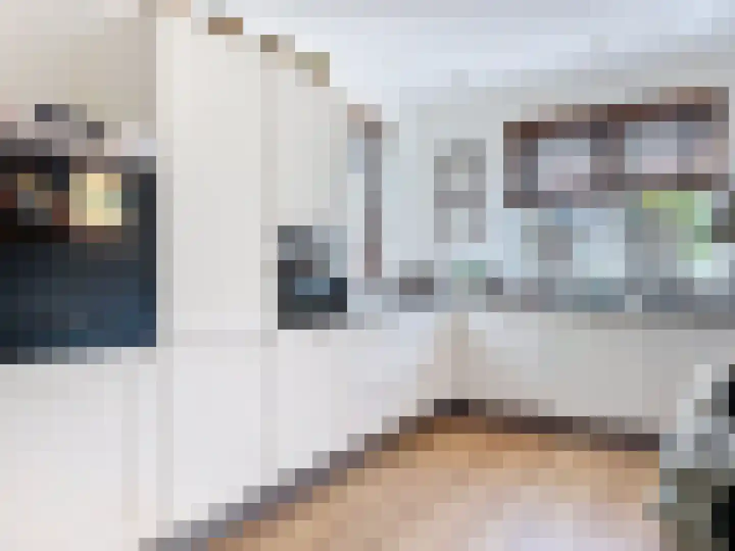 Noordstraat 30 Retranchement thumbnail 13