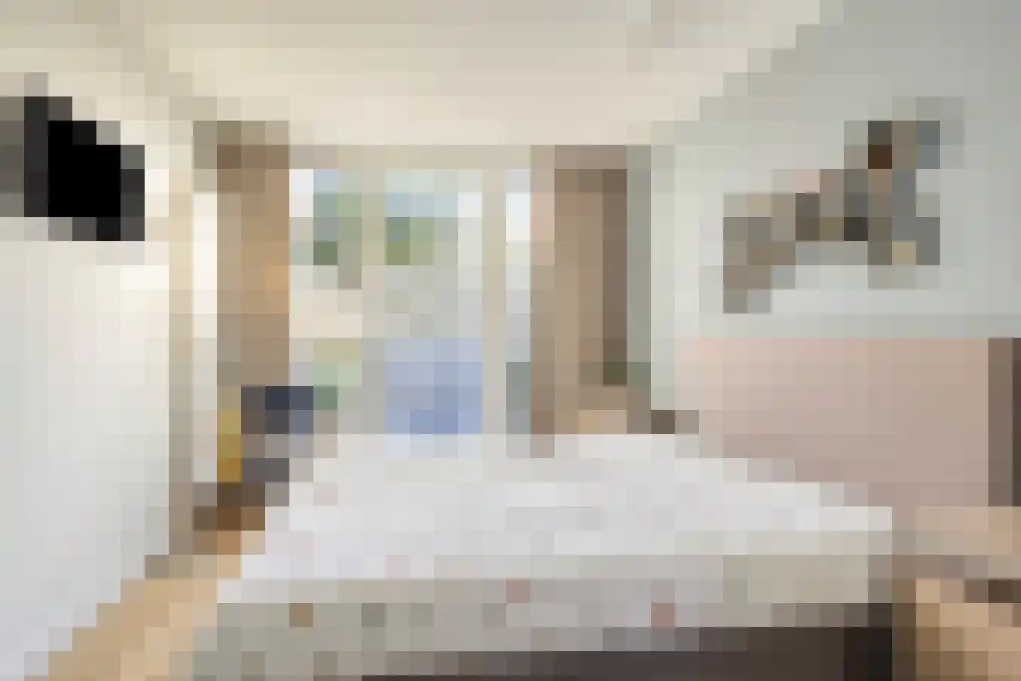 Noordstraat 30 Retranchement thumbnail 13