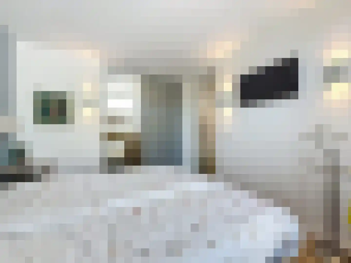 Noordstraat 30 Retranchement thumbnail 16