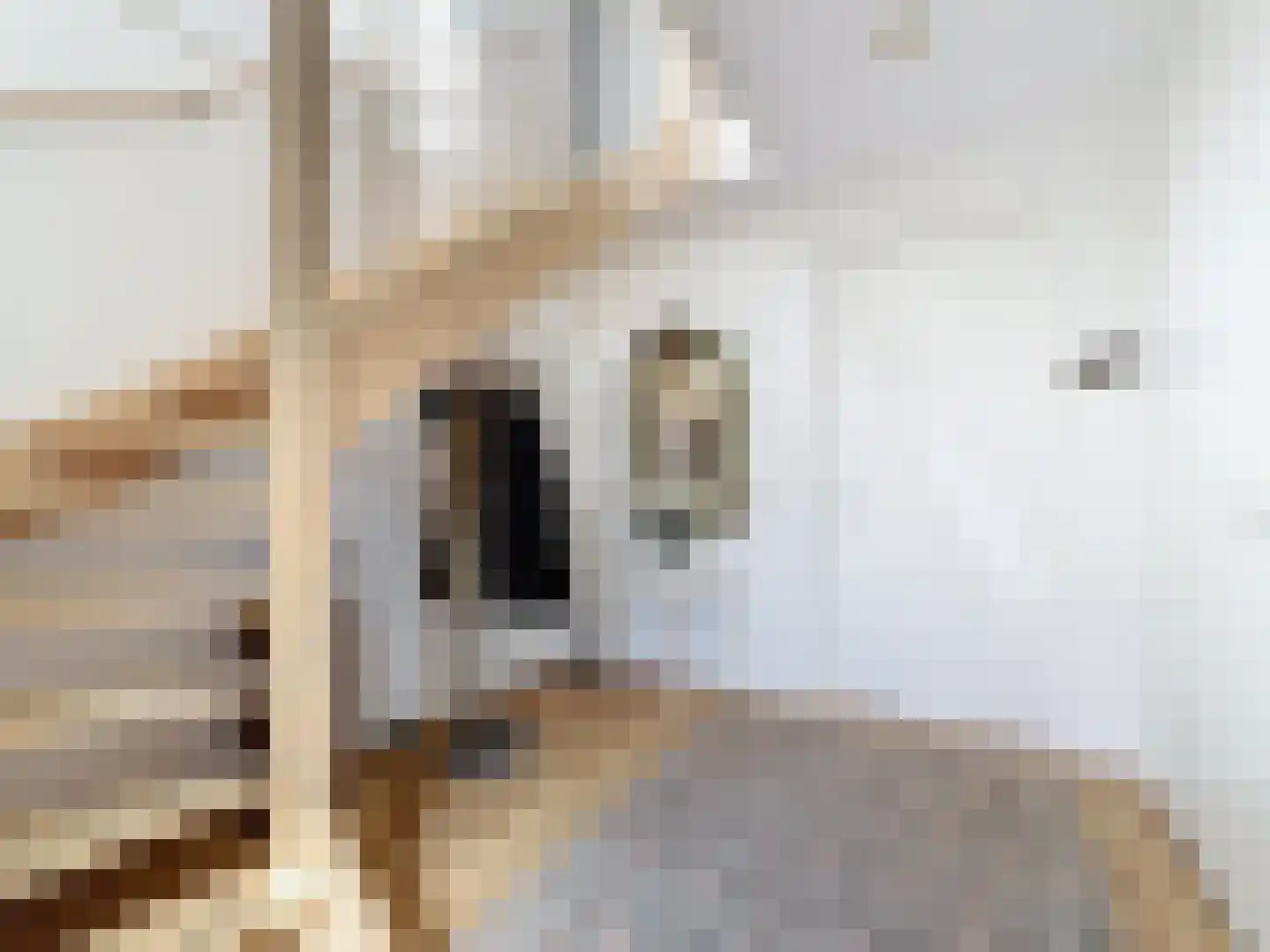 Noordstraat 30 Retranchement thumbnail 19