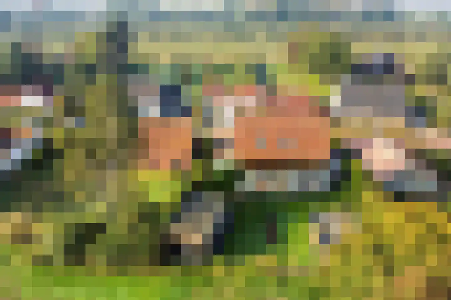 Noordstraat 30 Retranchement thumbnail 29