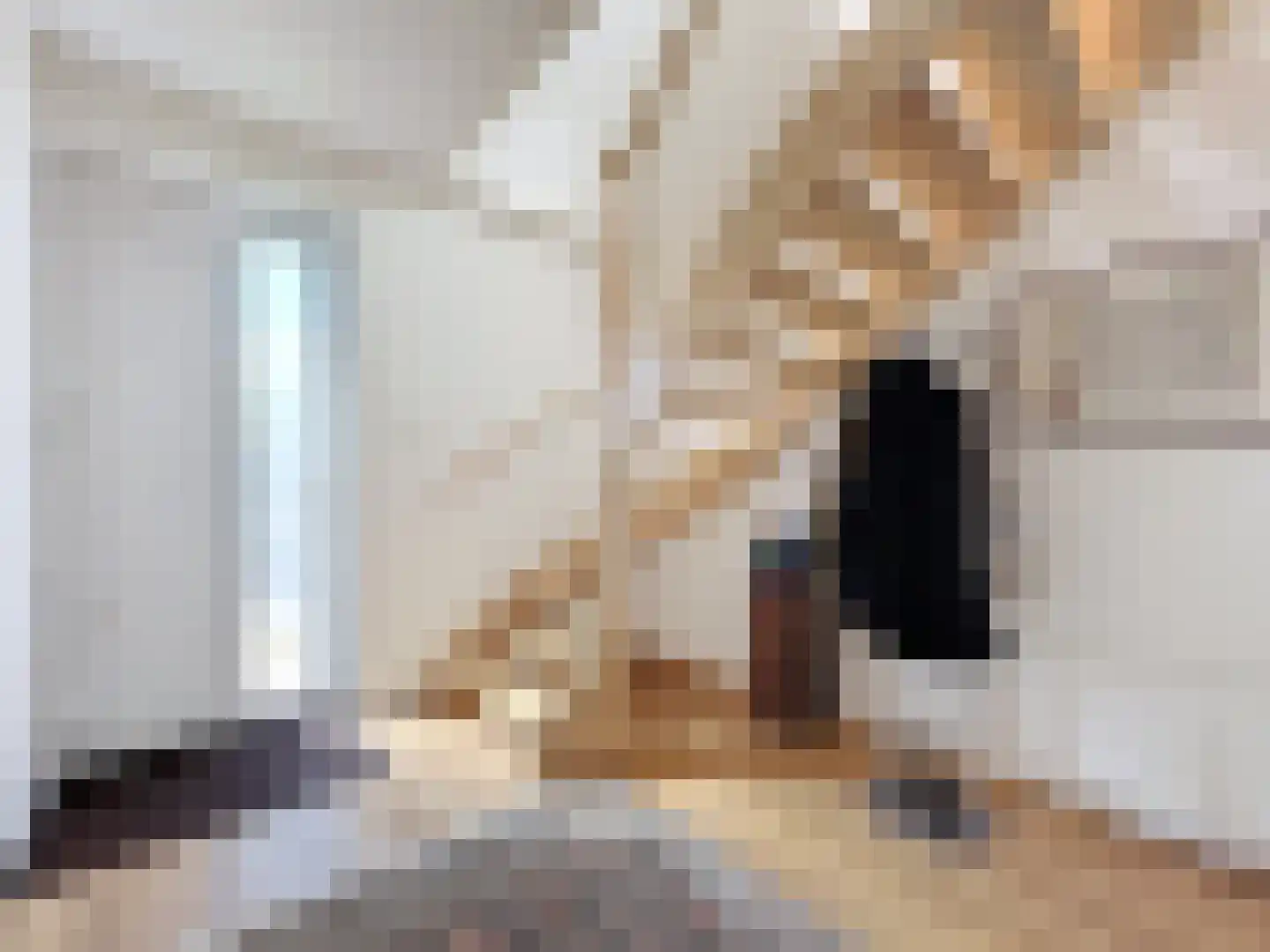 Noordstraat 30 Retranchement thumbnail 4