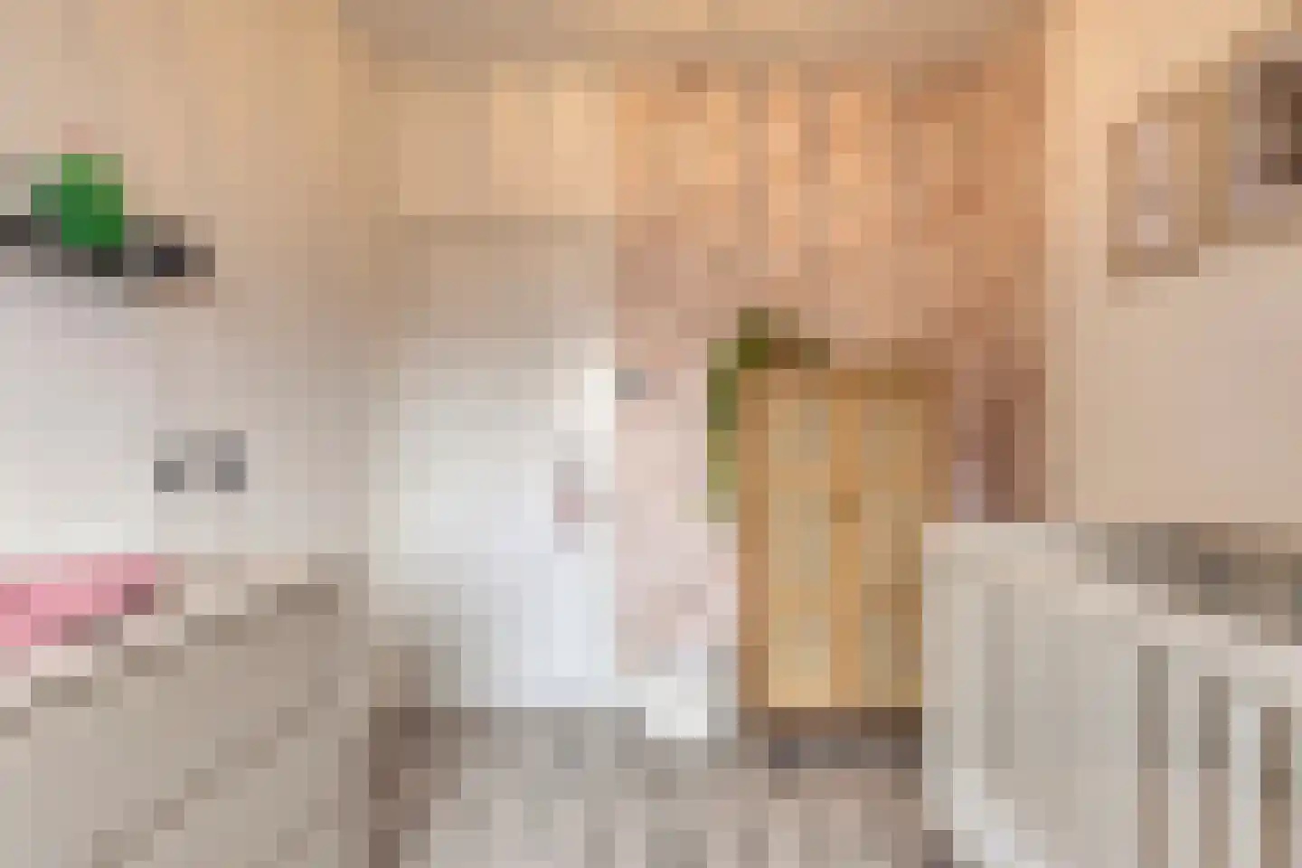 Noordstraat 31 Arnemuiden thumbnail 31