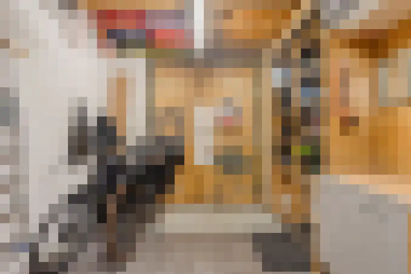 Noordstraat 31 Arnemuiden thumbnail 34