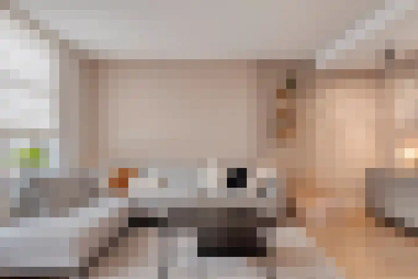 Noordstraat 31 Arnemuiden thumbnail 8