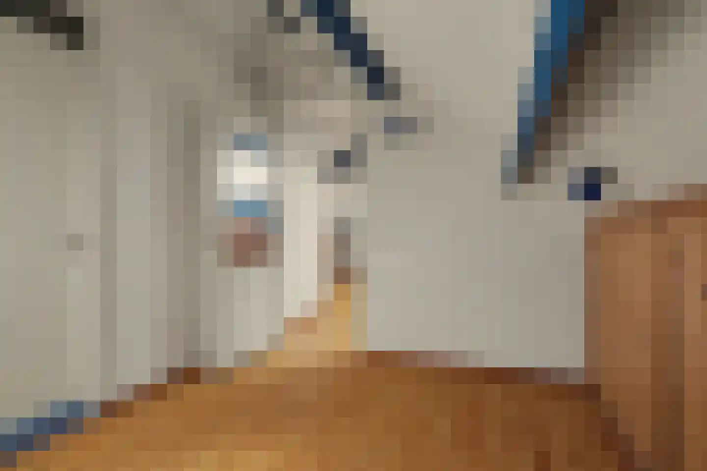 Noordstraat 31 Strijen thumbnail 29