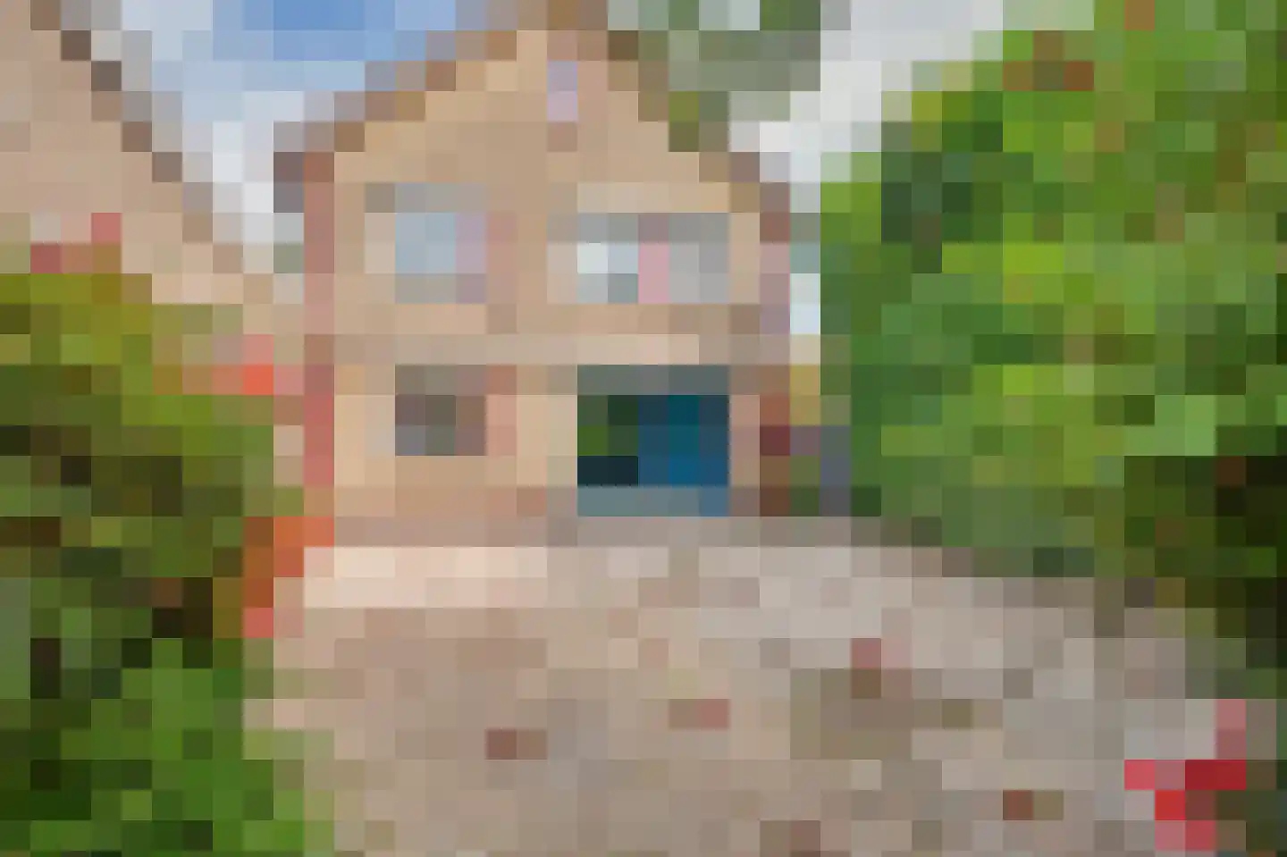 Noordstraat 31 Strijen foto 3