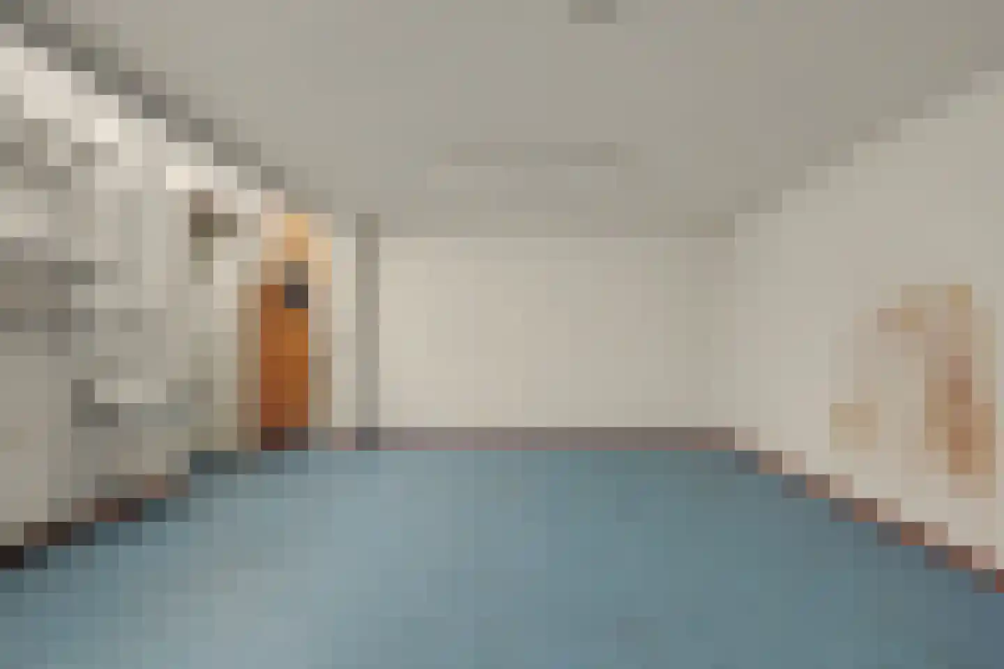 Noordstraat 31 Strijen thumbnail 36