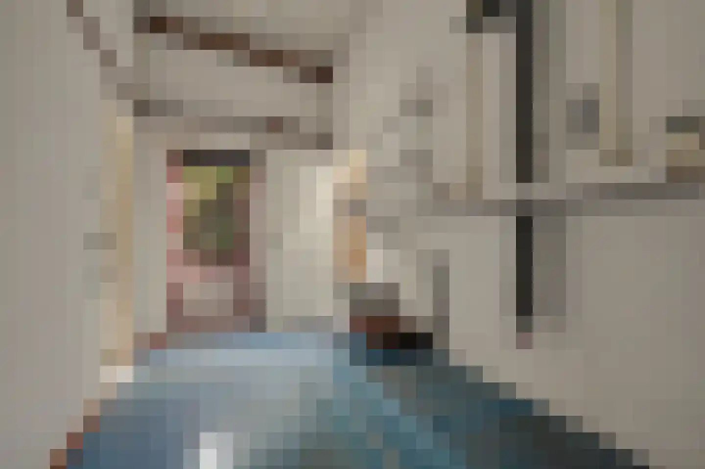 Noordstraat 31 Strijen thumbnail 38