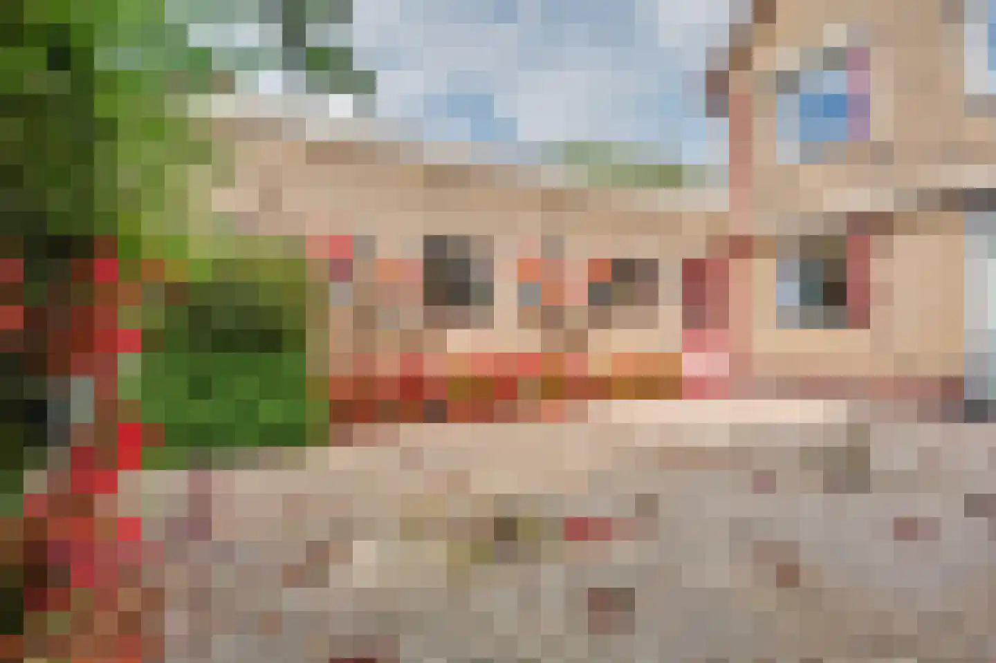 Noordstraat 31 Strijen thumbnail 41