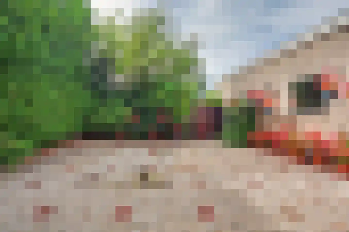 Noordstraat 31 Strijen thumbnail 42