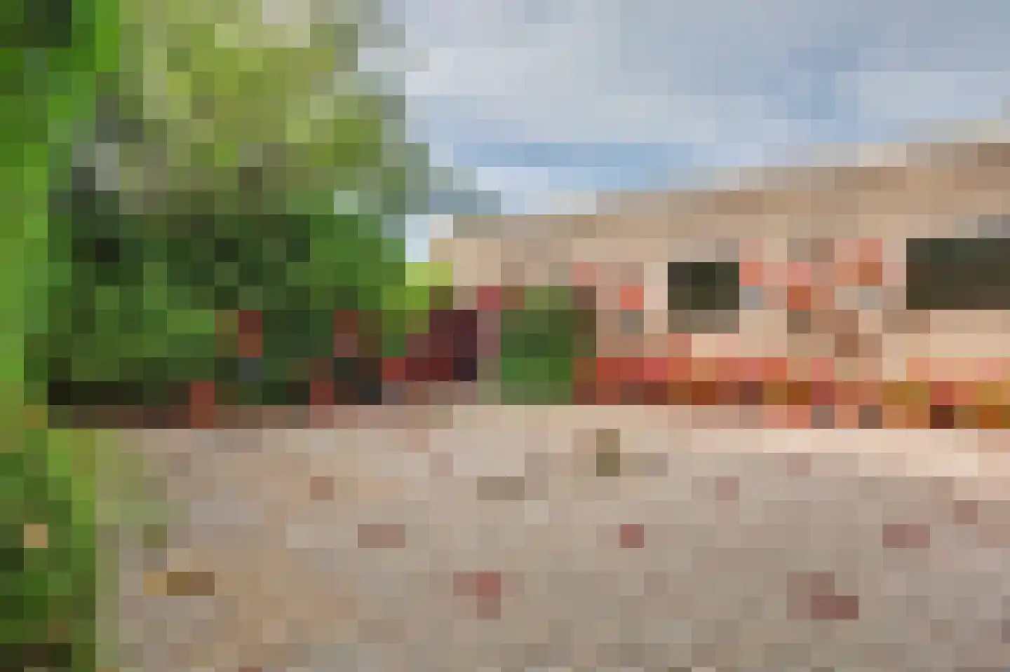 Noordstraat 31 Strijen thumbnail 43