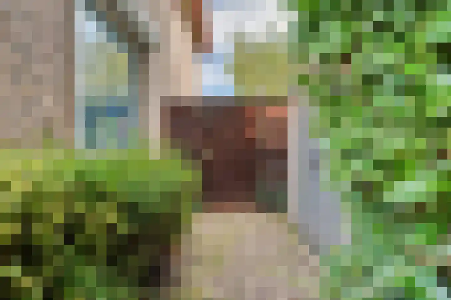 Noordstraat 31 Strijen thumbnail 44