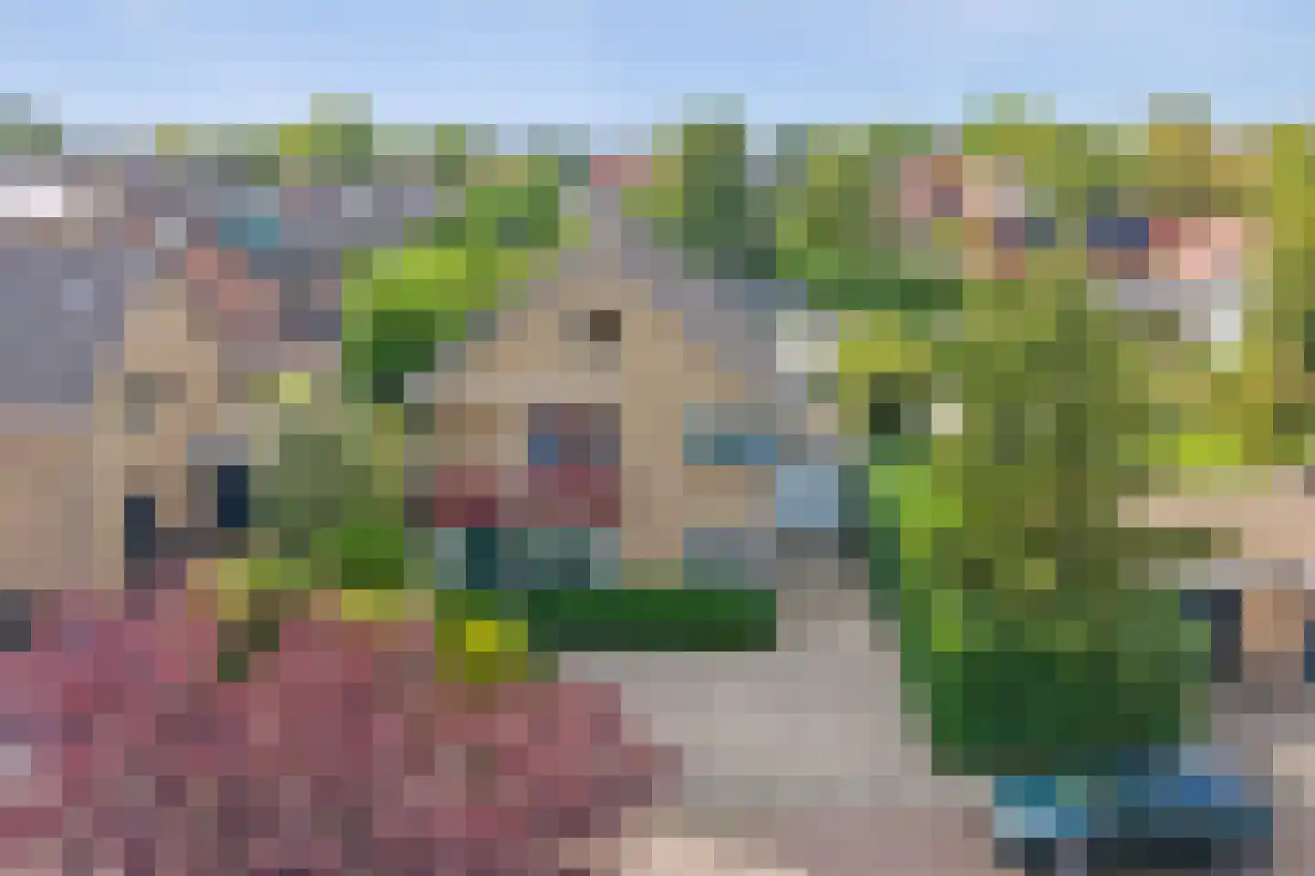 Noordstraat 31 Strijen thumbnail 46