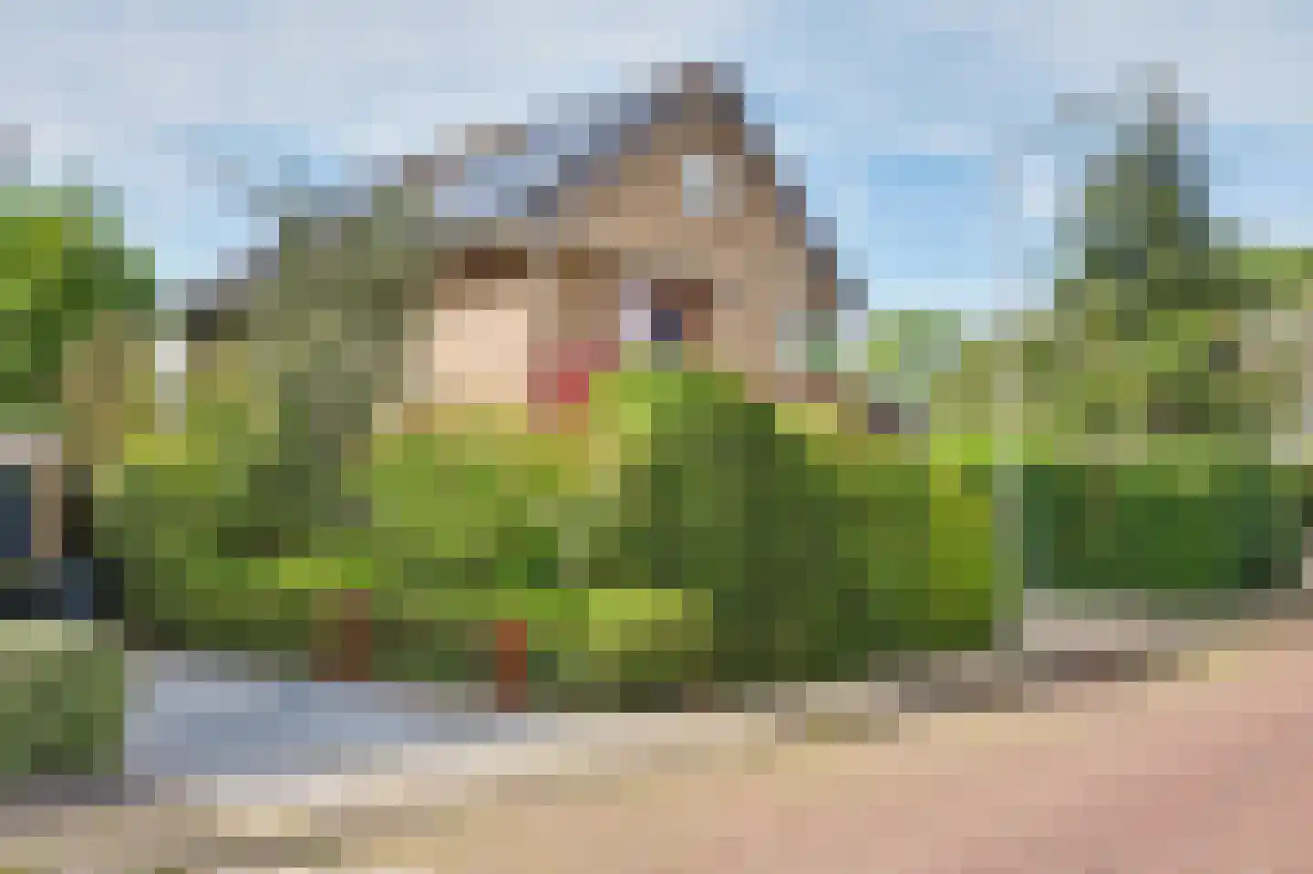 Noordstraat 31 Strijen thumbnail 5