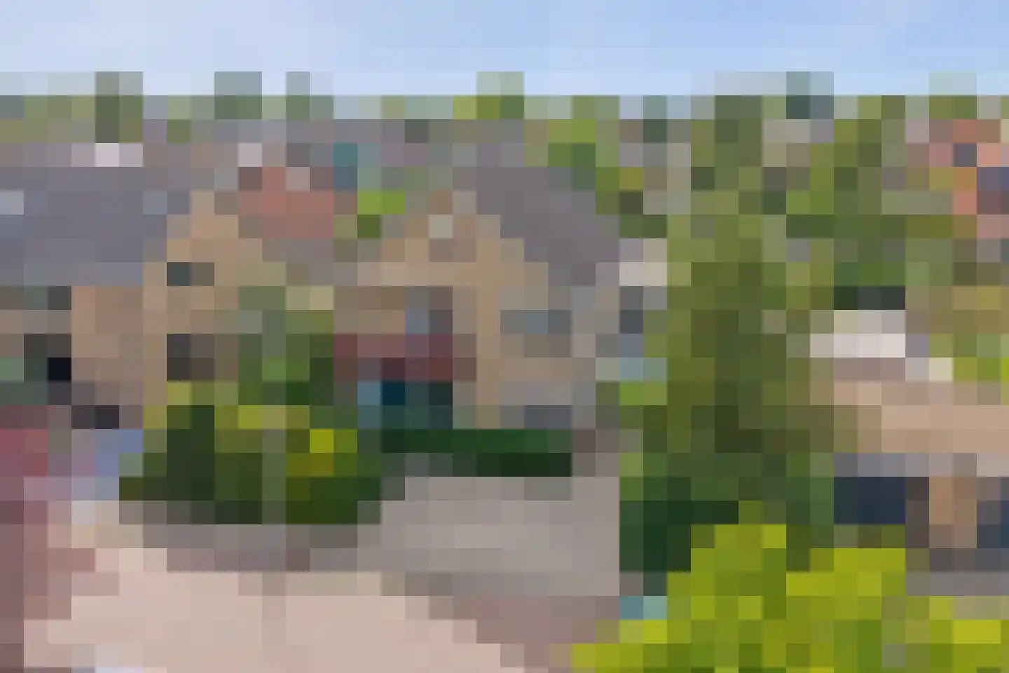 Noordstraat 31 Strijen thumbnail 6