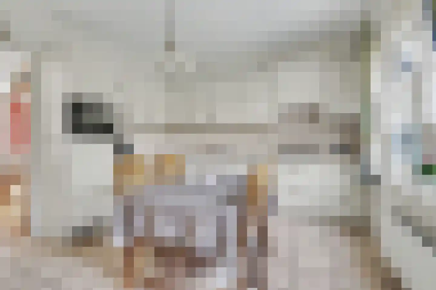 Noordstraat 32 Scherpenisse thumbnail 13