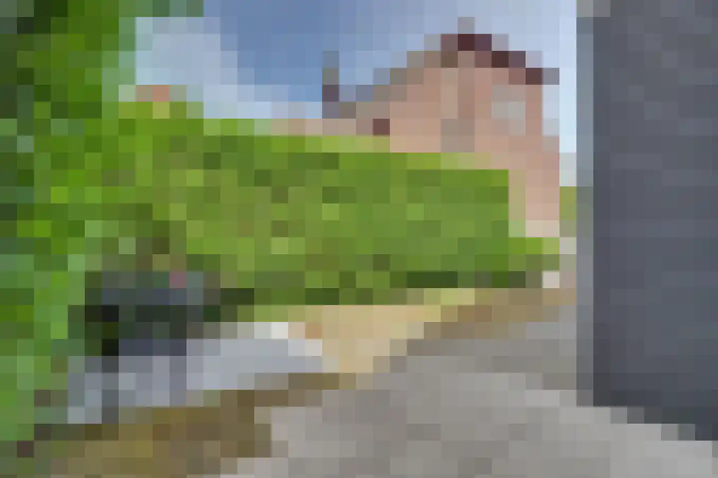 Noordstraat 32 Scherpenisse thumbnail 29
