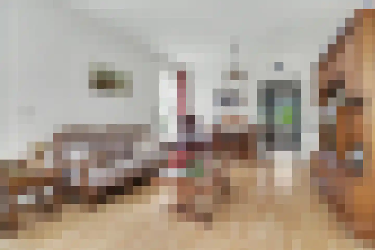 Noordstraat 32 Scherpenisse thumbnail 9
