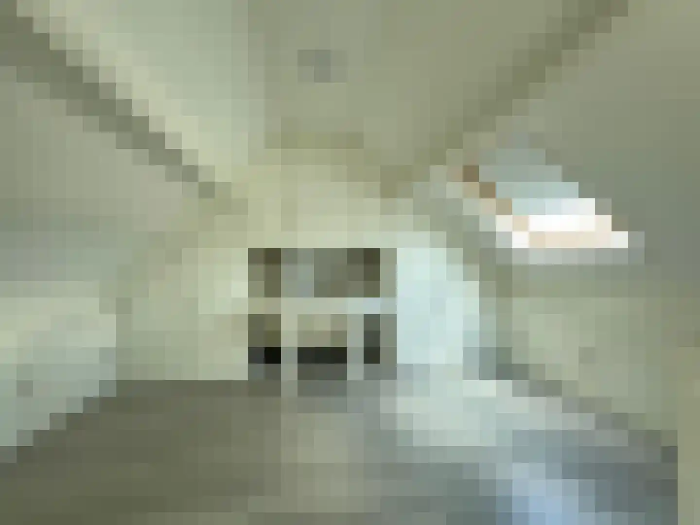 Noordstraat 34 a Biervliet thumbnail 13