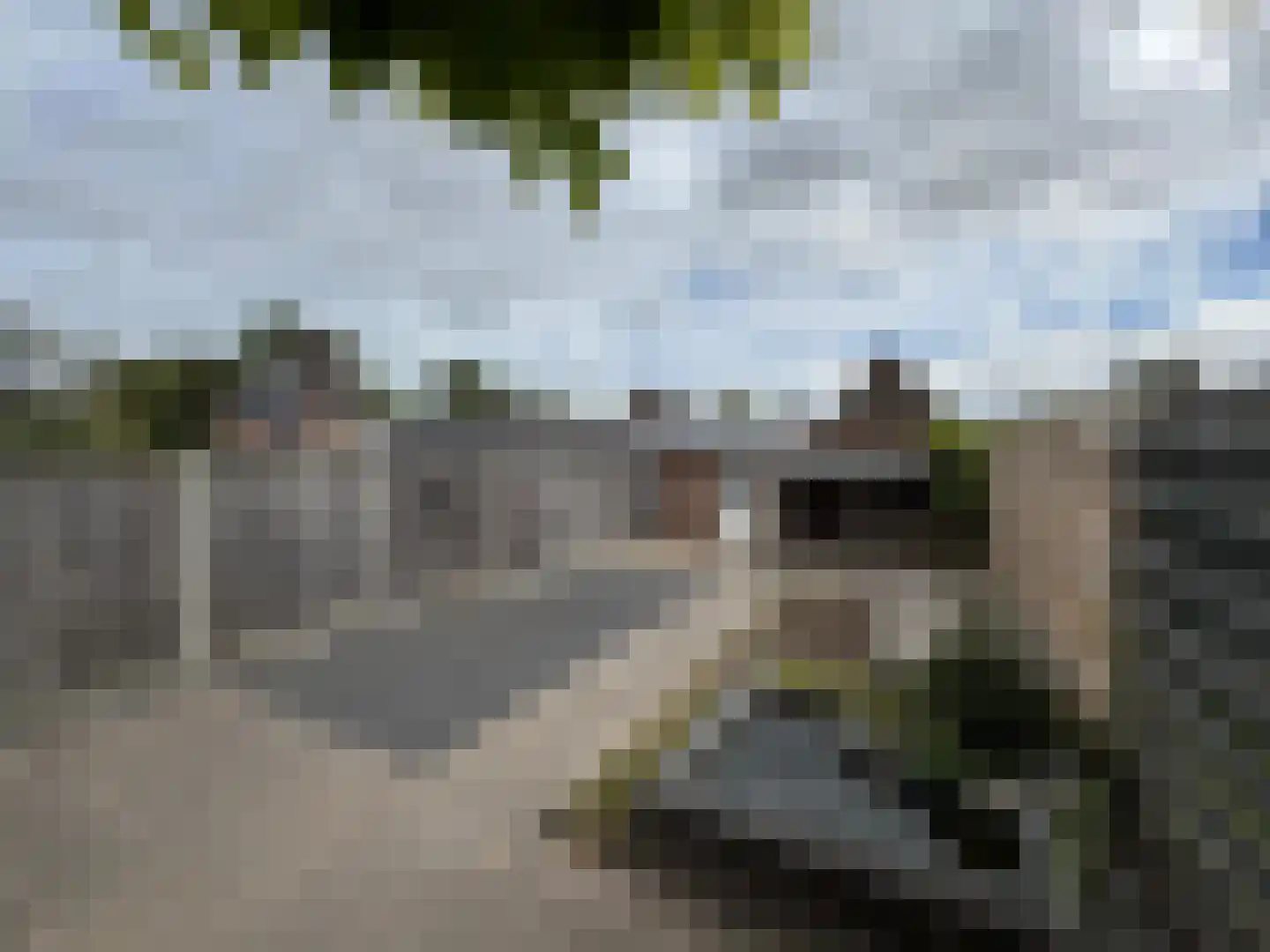 Noordstraat 34 a Biervliet thumbnail 15