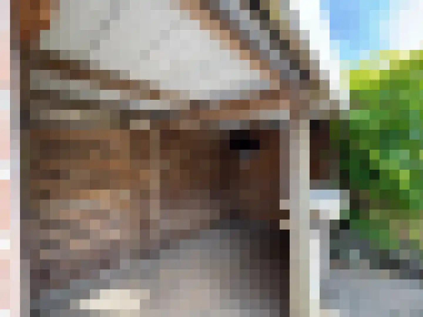 Noordstraat 34 a Biervliet thumbnail 17