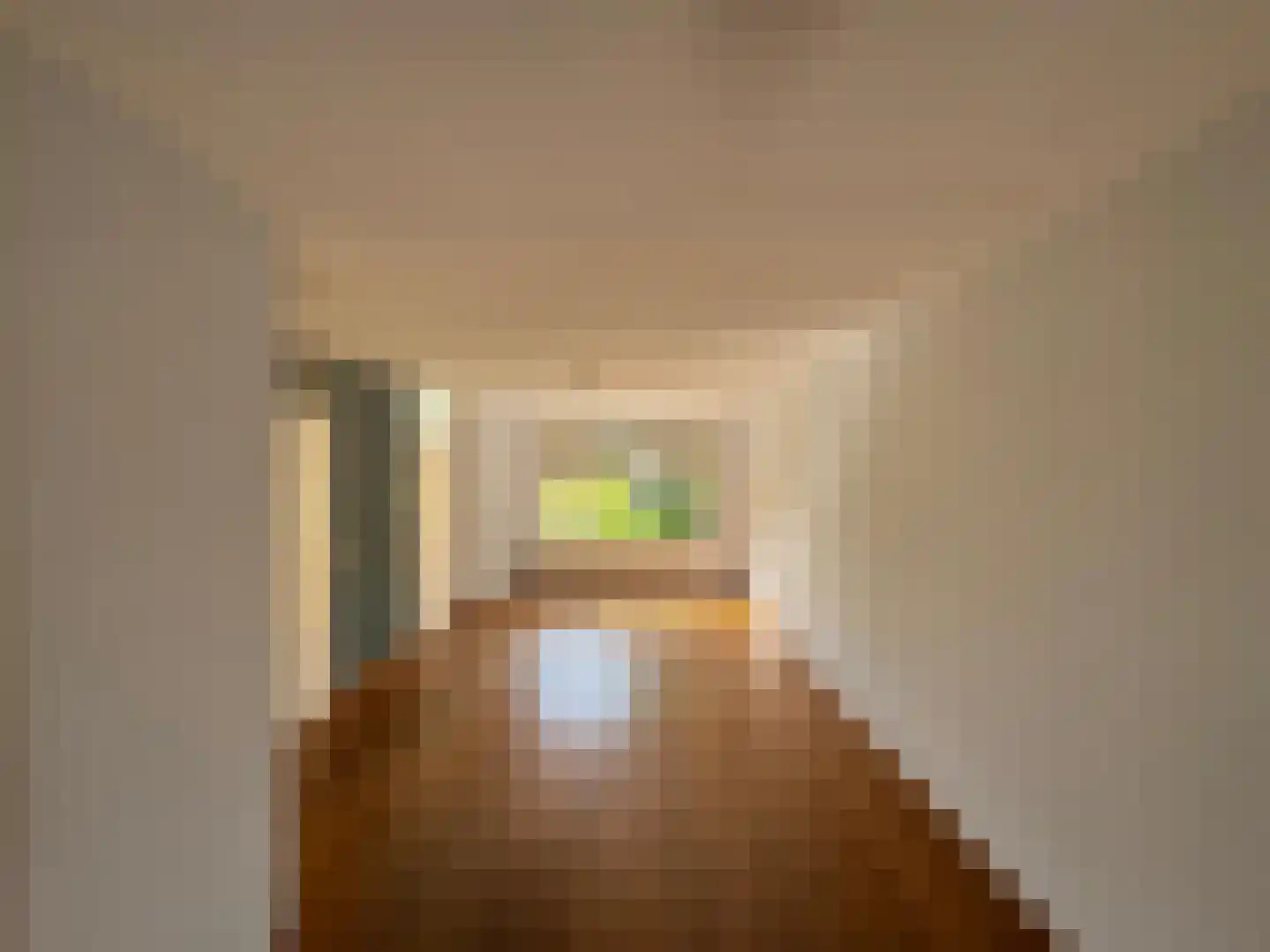 Noordstraat 34 a Biervliet thumbnail 4