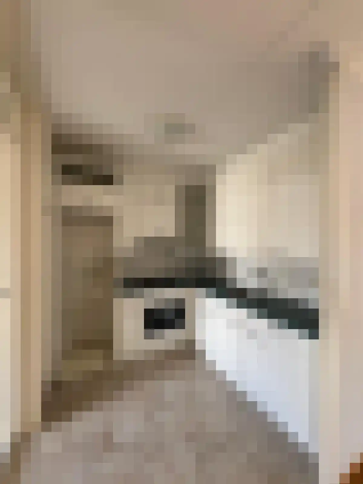 Noordstraat 34 a Biervliet thumbnail 6