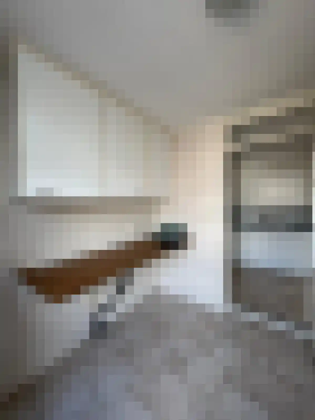 Noordstraat 34 a Biervliet thumbnail 7