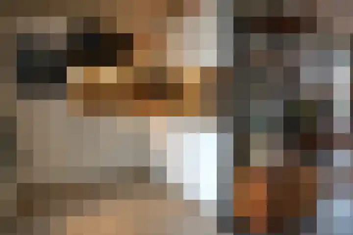 Noordstraat 34 b Biervliet thumbnail 10