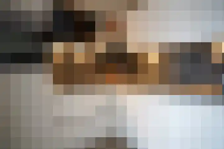 Noordstraat 34 b Biervliet thumbnail 11