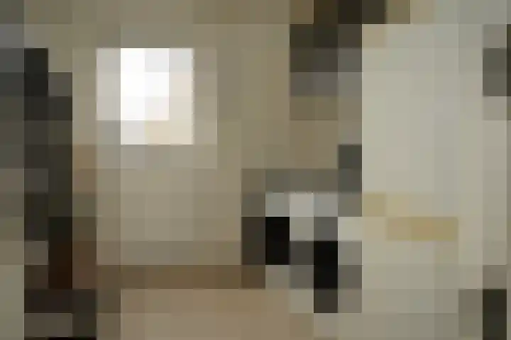 Noordstraat 34 b Biervliet thumbnail 12