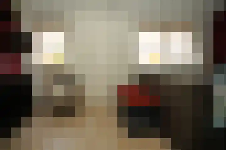 Noordstraat 34 b Biervliet thumbnail 17
