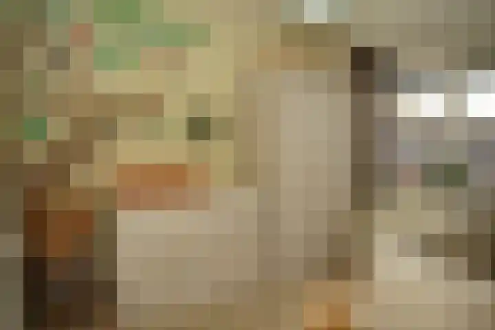 Noordstraat 34 b Biervliet thumbnail 21
