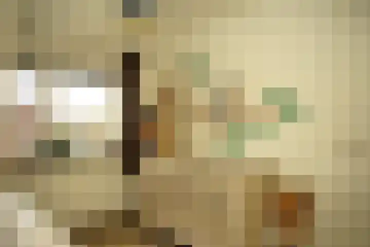 Noordstraat 34 b Biervliet thumbnail 22