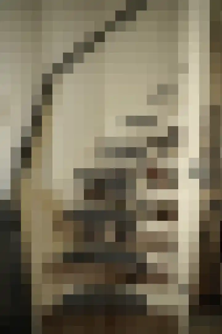 Noordstraat 34 b Biervliet thumbnail 24
