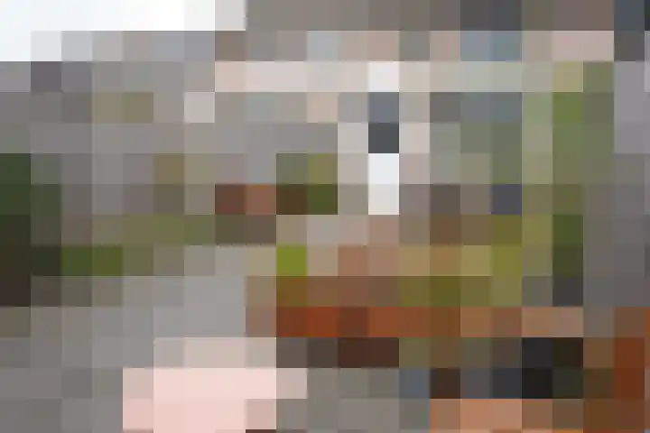 Noordstraat 34 b Biervliet thumbnail 34